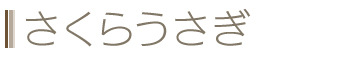 炤