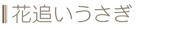 Ԓǂ