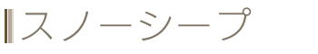 Xm[V[v